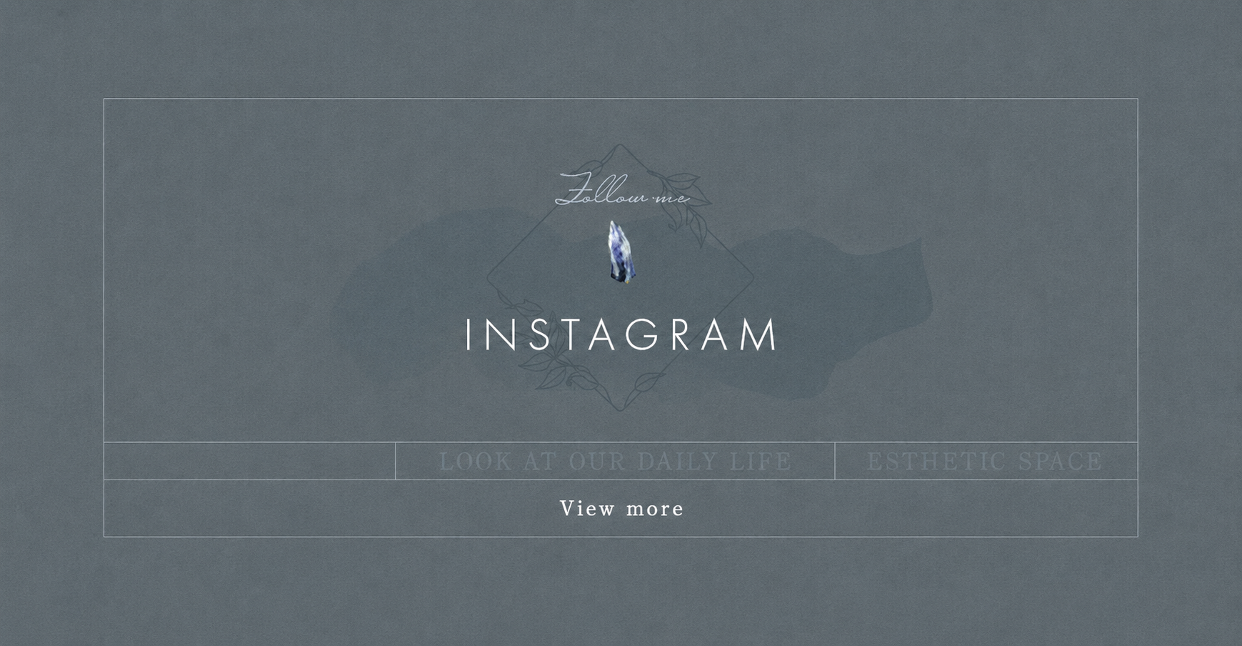 banner_insta